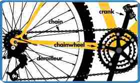 Picture of a Chain Drive on a Bicicle